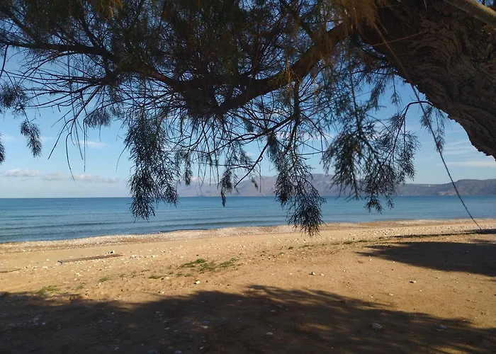 Magedico 150M From The Beach